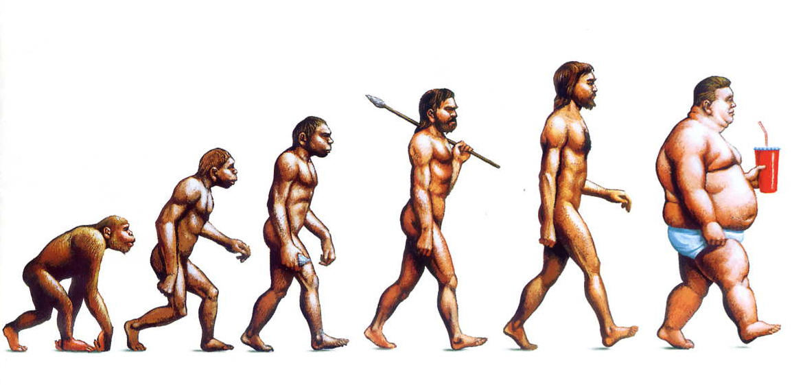 evolução do homem